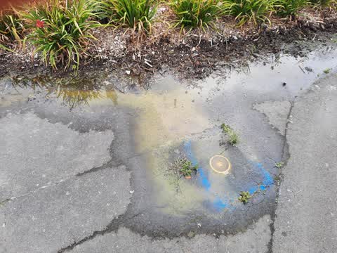 Water Leak — a report photo