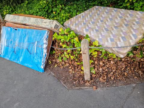 Rubbish/Recycling, a report photo