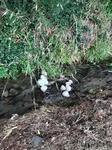 Rubbish/Recycling, a report photo