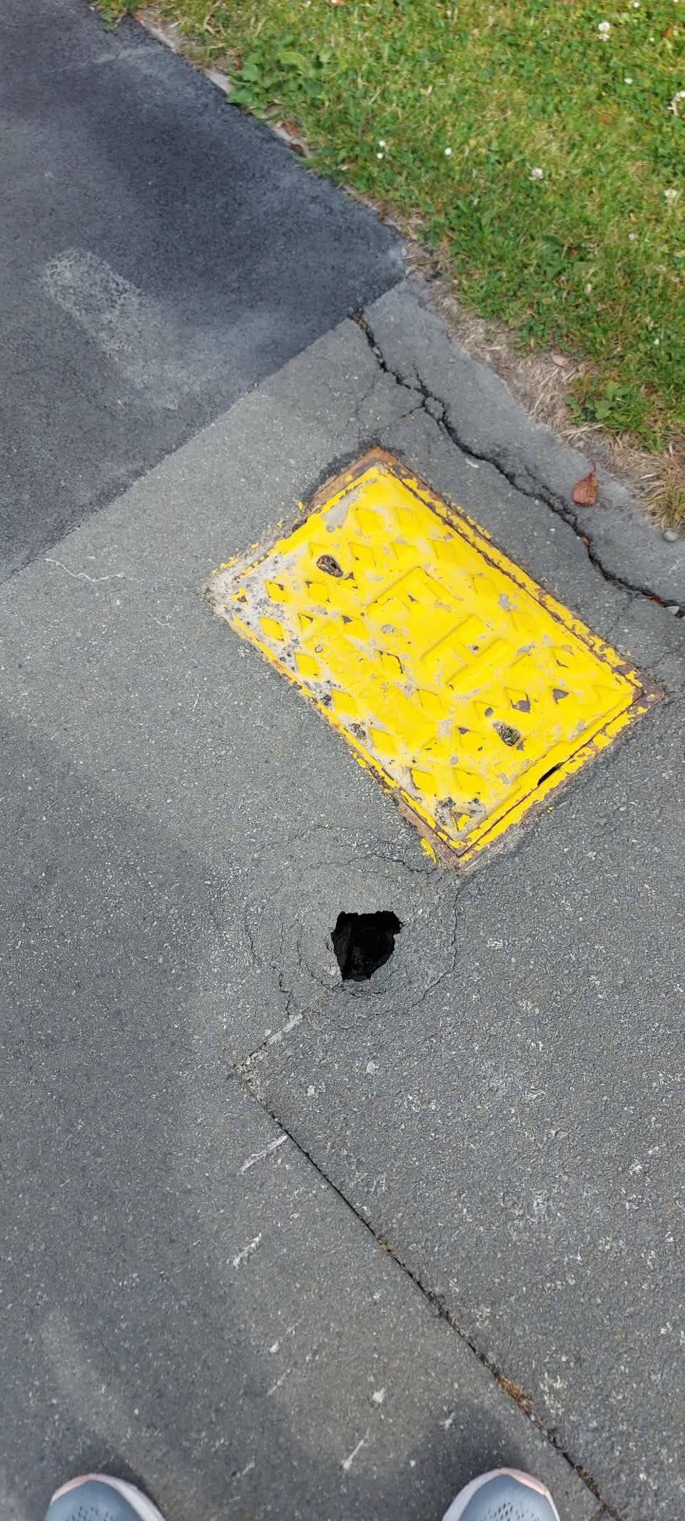 The photograph attached to this parks report
