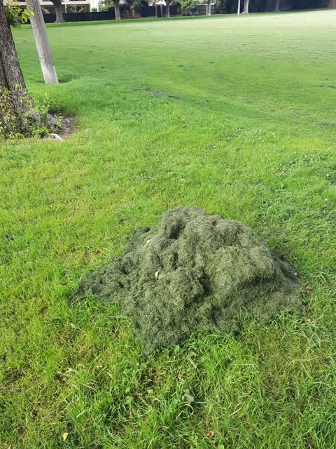 Parks, a report photo