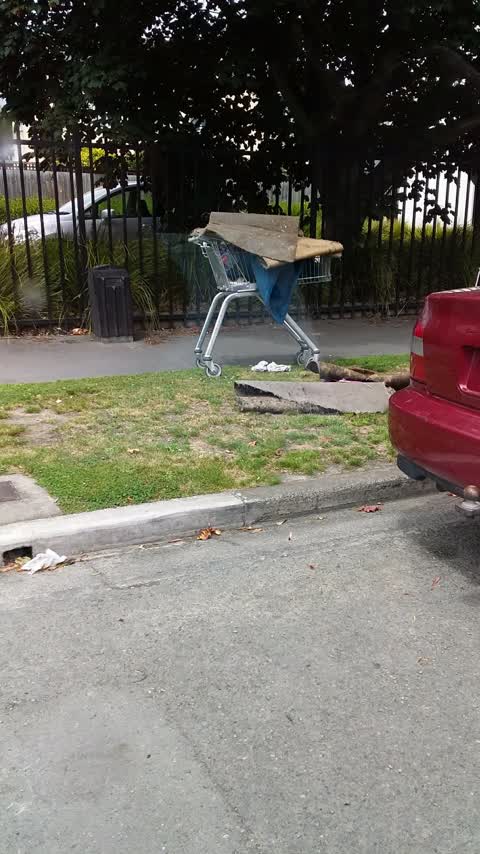 Rubbish/Recycling, a report photo