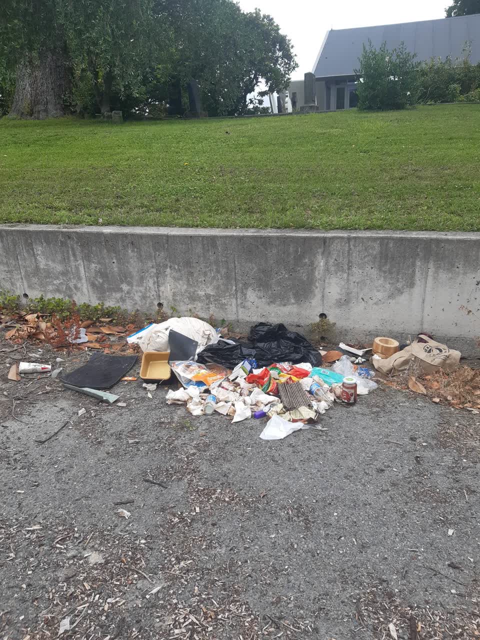 The photograph attached to this rubbish/recycling report