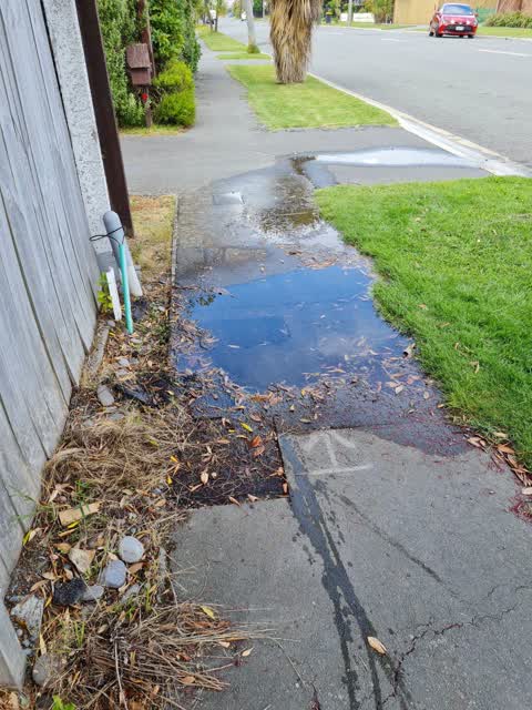 Water Leak, a report photo