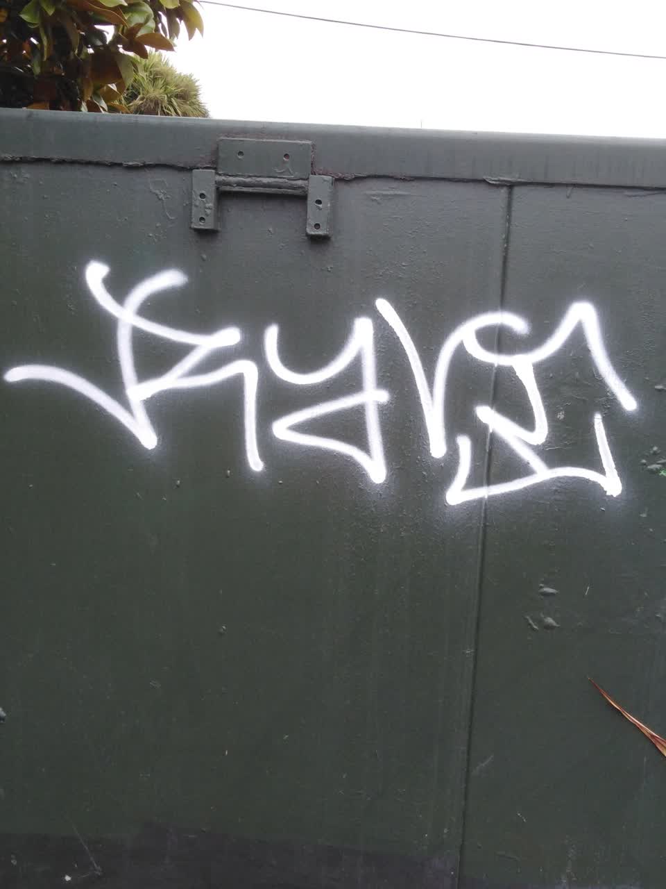 The photograph attached to this graffiti report