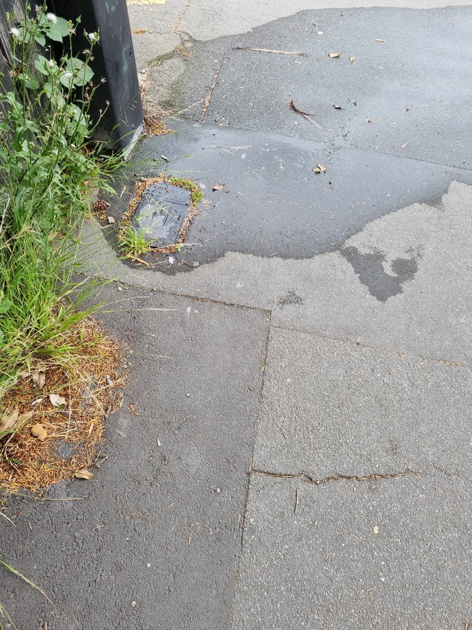 The photograph attached to this water leak report