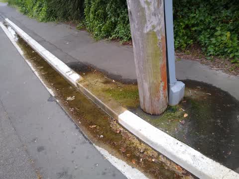 Water Leak, a report photo