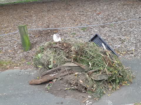 Rubbish/Recycling, a report photo