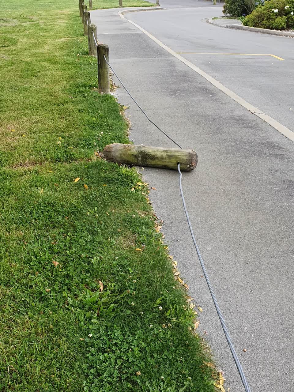 The photograph attached to this parks report