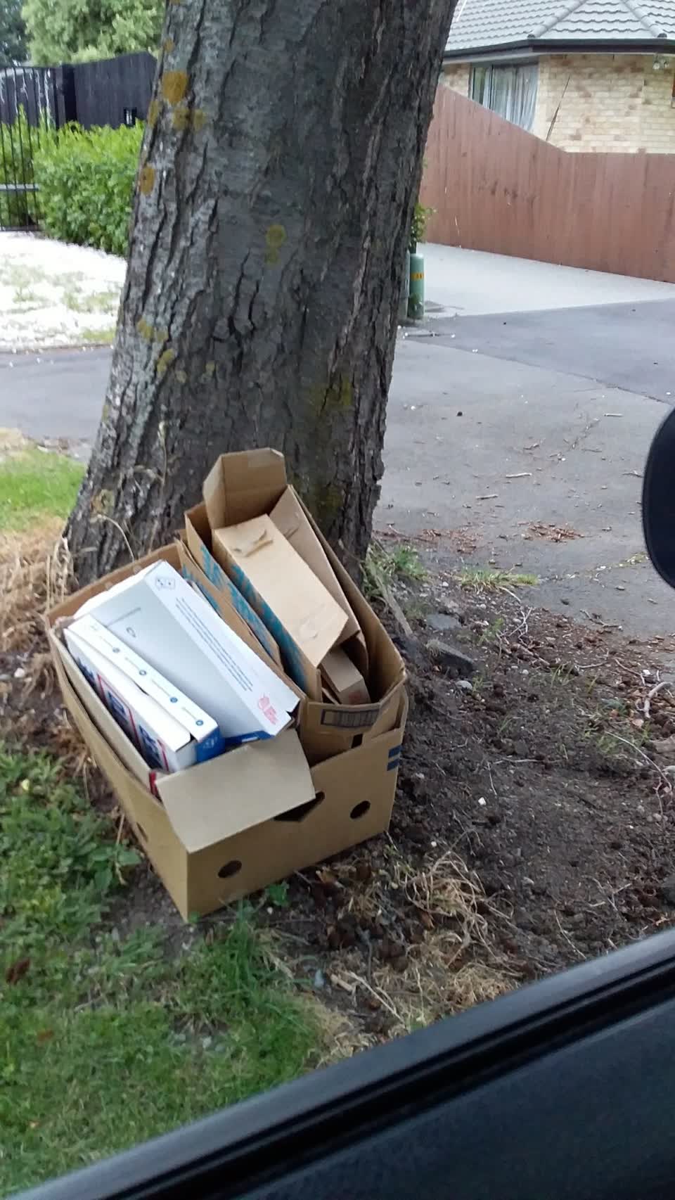 The photograph attached to this rubbish/recycling report