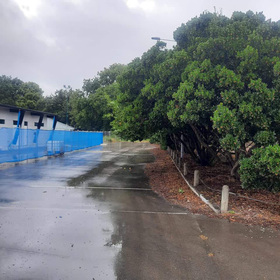 The photograph attached to this parks report