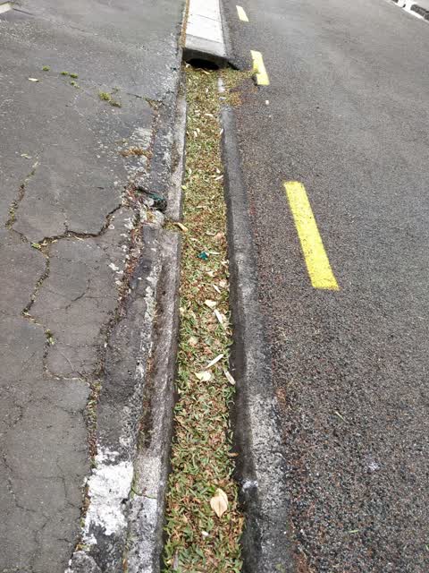 Roading/Streets, a report photo