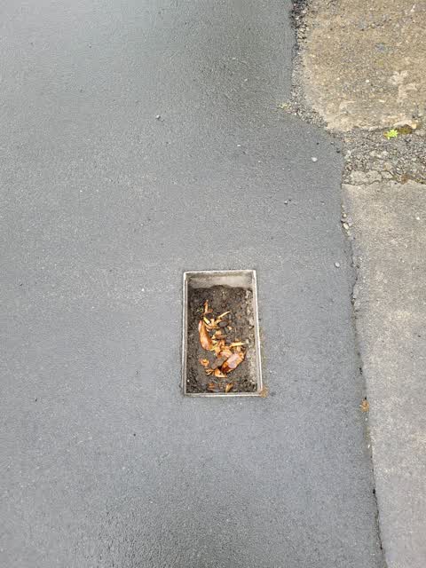 Roading/Streets, a report photo