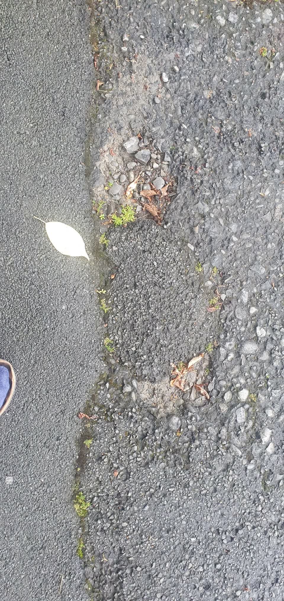 The photograph attached to this roading/streets report
