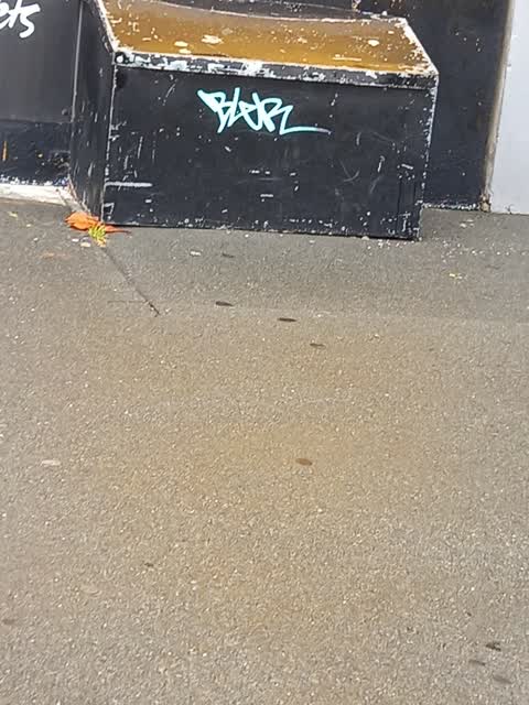 Graffiti — a report photo