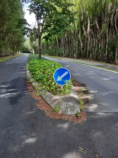 Roading/Streets, a report photo