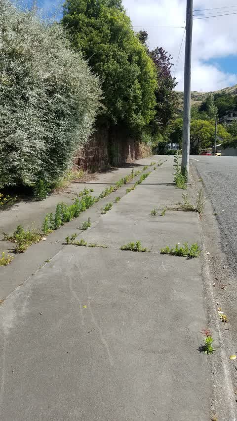 Roading/Streets, a report photo