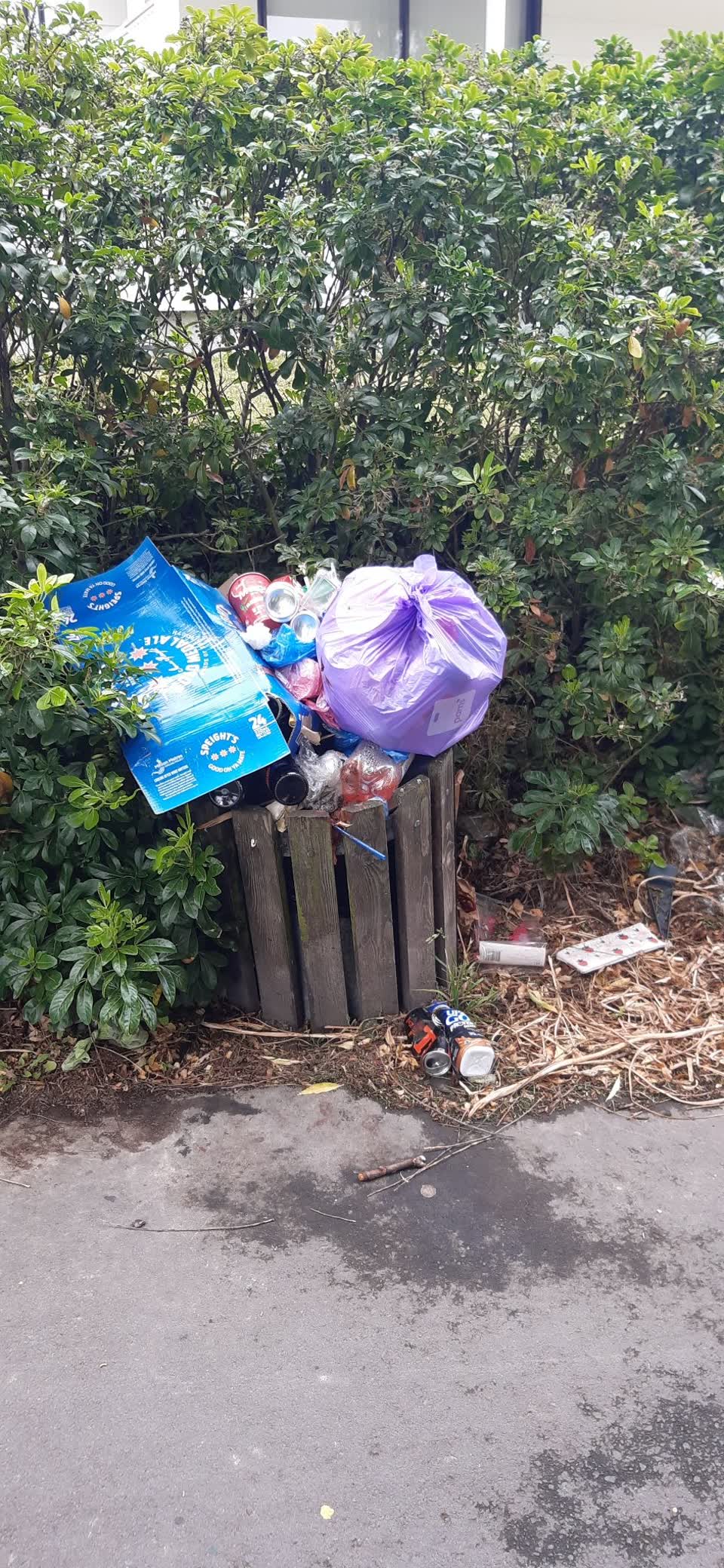 The photograph attached to this rubbish/recycling report