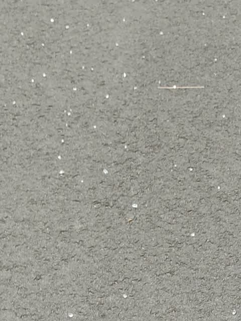 Roading/Streets, a report photo