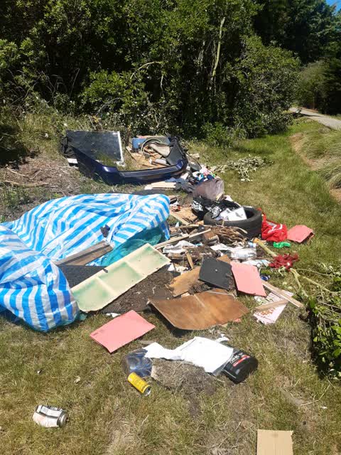 Parks — a report photo