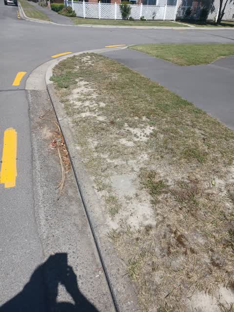 General Request, a report photo