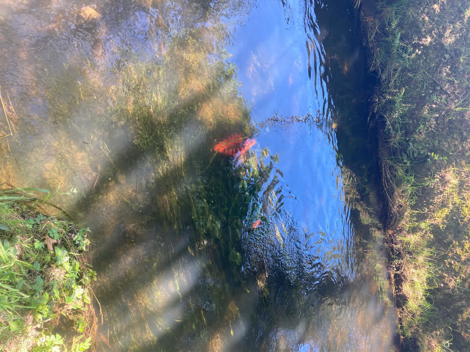 The photograph attached to this wastewater/stormwater report