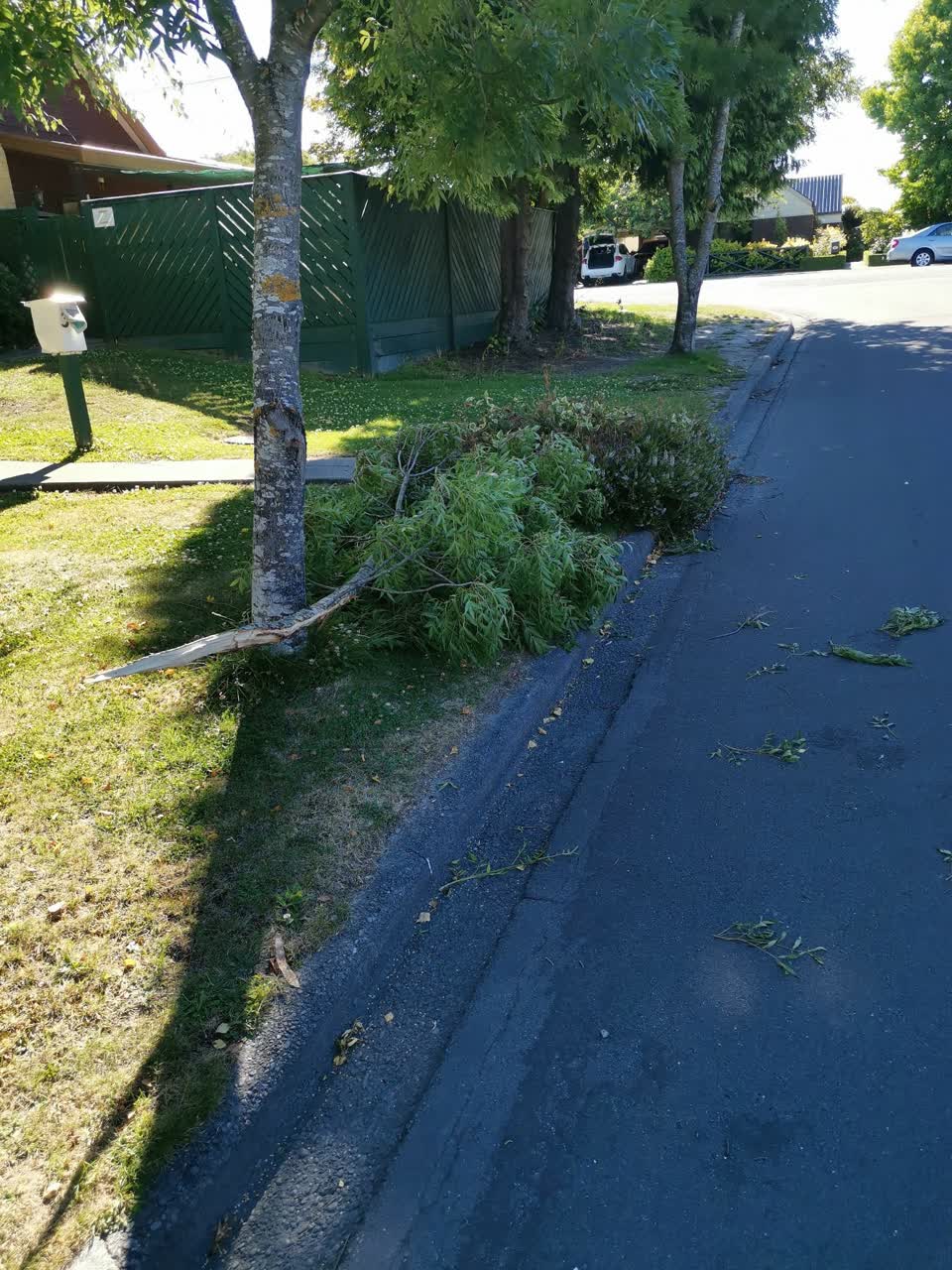 The photograph attached to this street light outage report