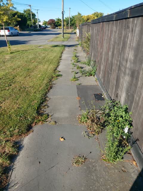 Roading/Streets, a report photo