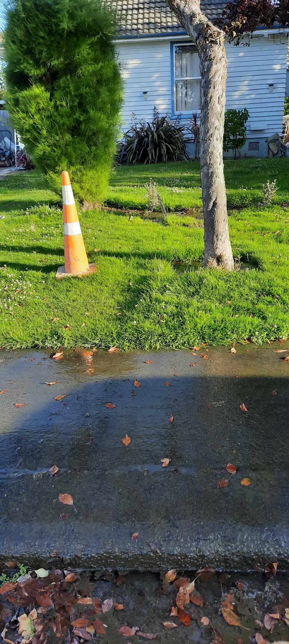 The photograph attached to this flooding report