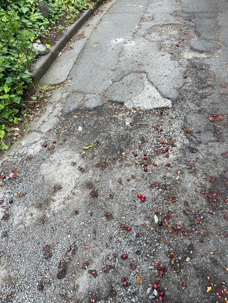 The photograph attached to this roading/streets report