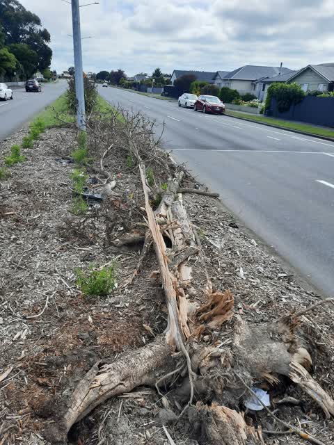 Roading/Streets, a report photo