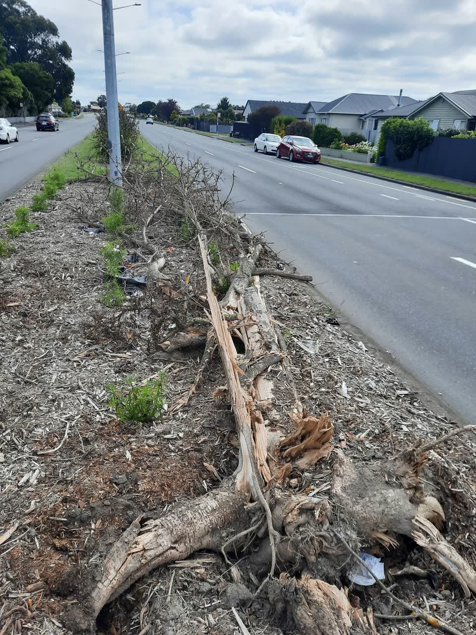 The photograph attached to this roading/streets report