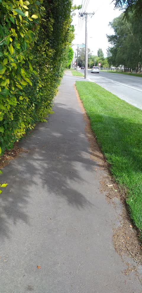 Roading/Streets, a report photo
