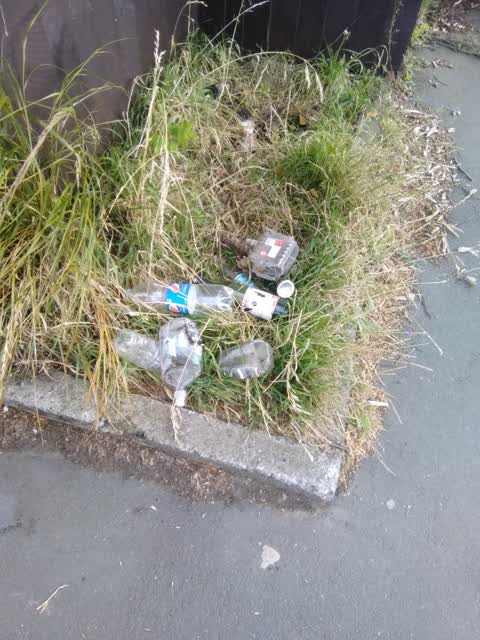Rubbish/Recycling, a report photo