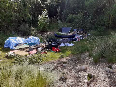Rubbish/Recycling — a report photo