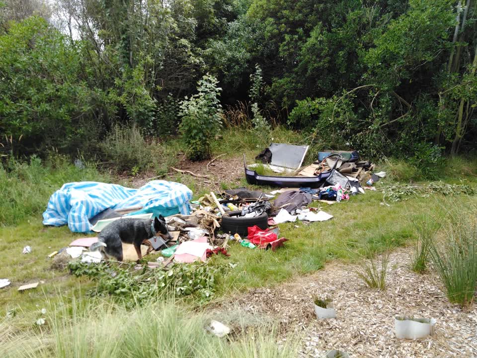 The photograph attached to this rubbish/recycling report