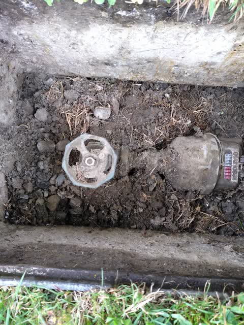 Water Supply, a report photo