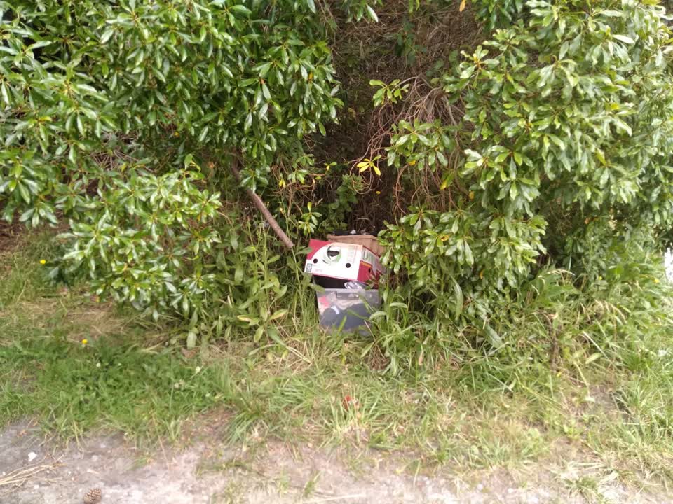 The photograph attached to this parks report