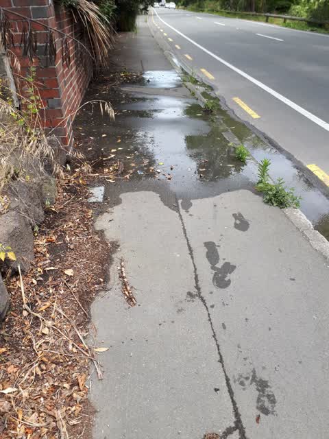 Water Leak, a report photo