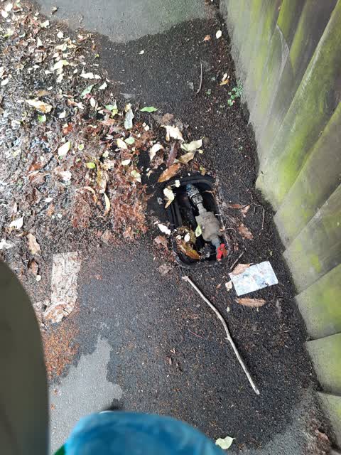 Water Leak, a report photo