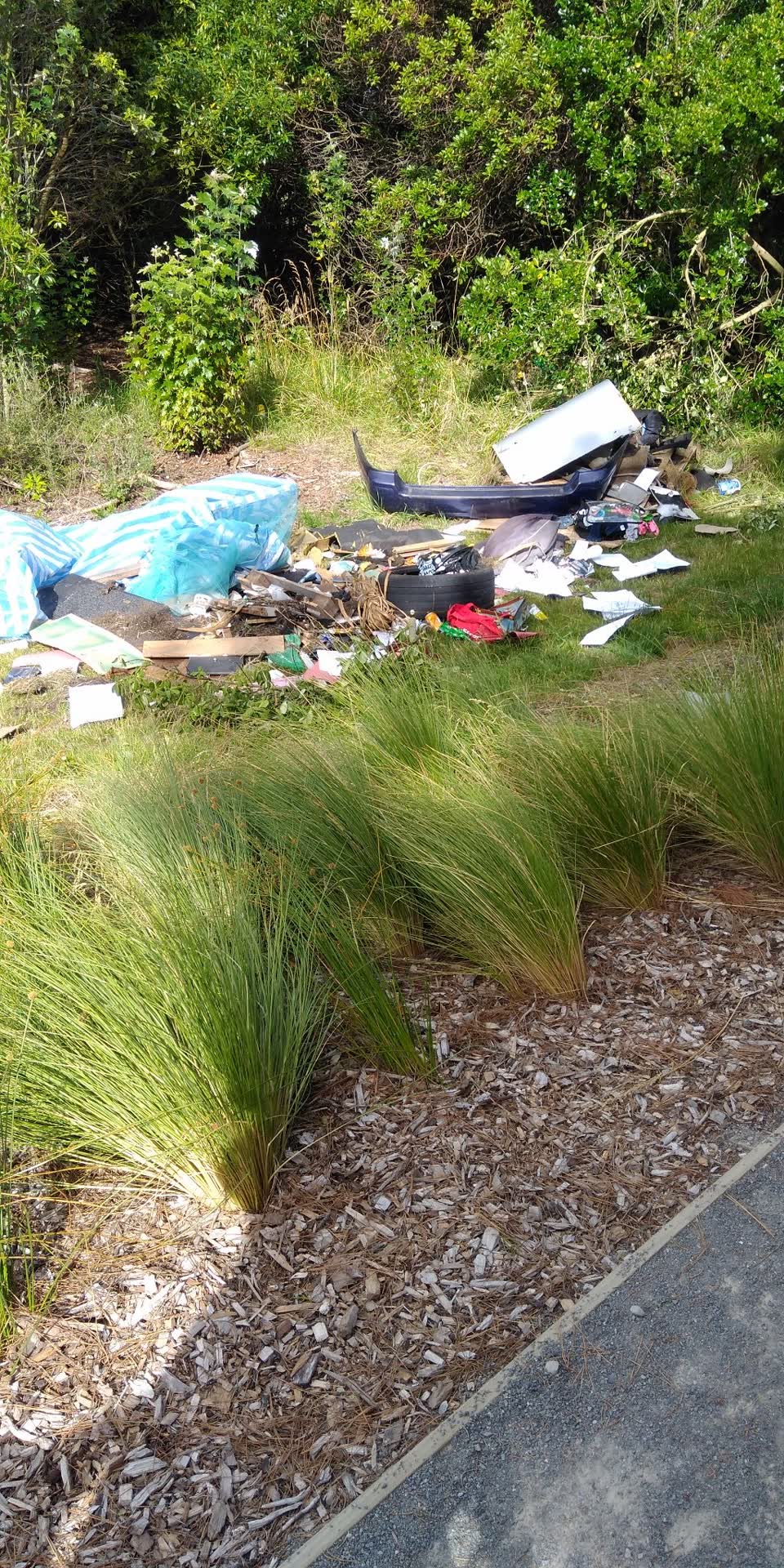The photograph attached to this rubbish/recycling report