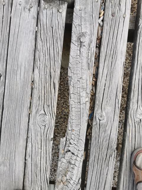 Parks — a report photo