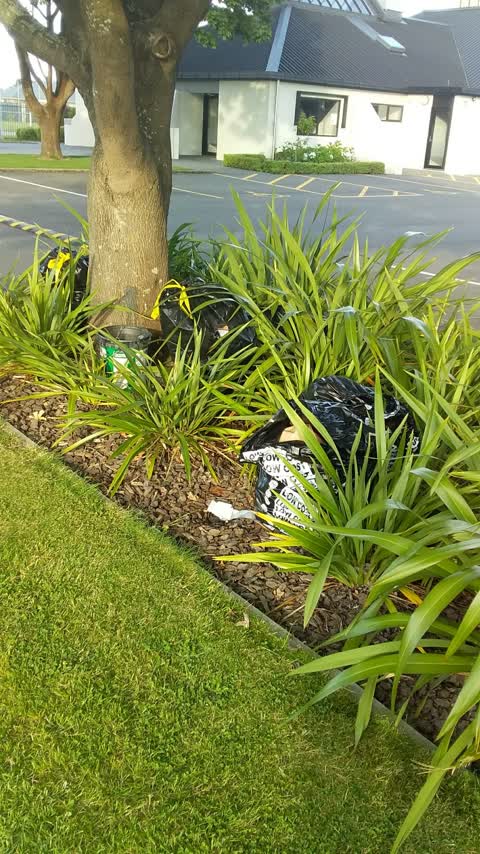 Rubbish/Recycling, a report photo