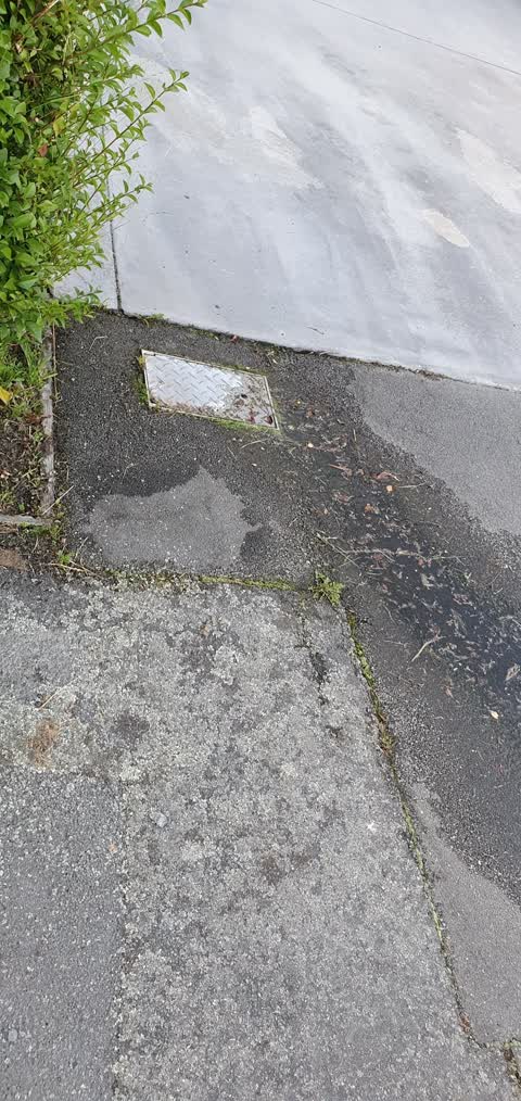 Water Leak, a report photo