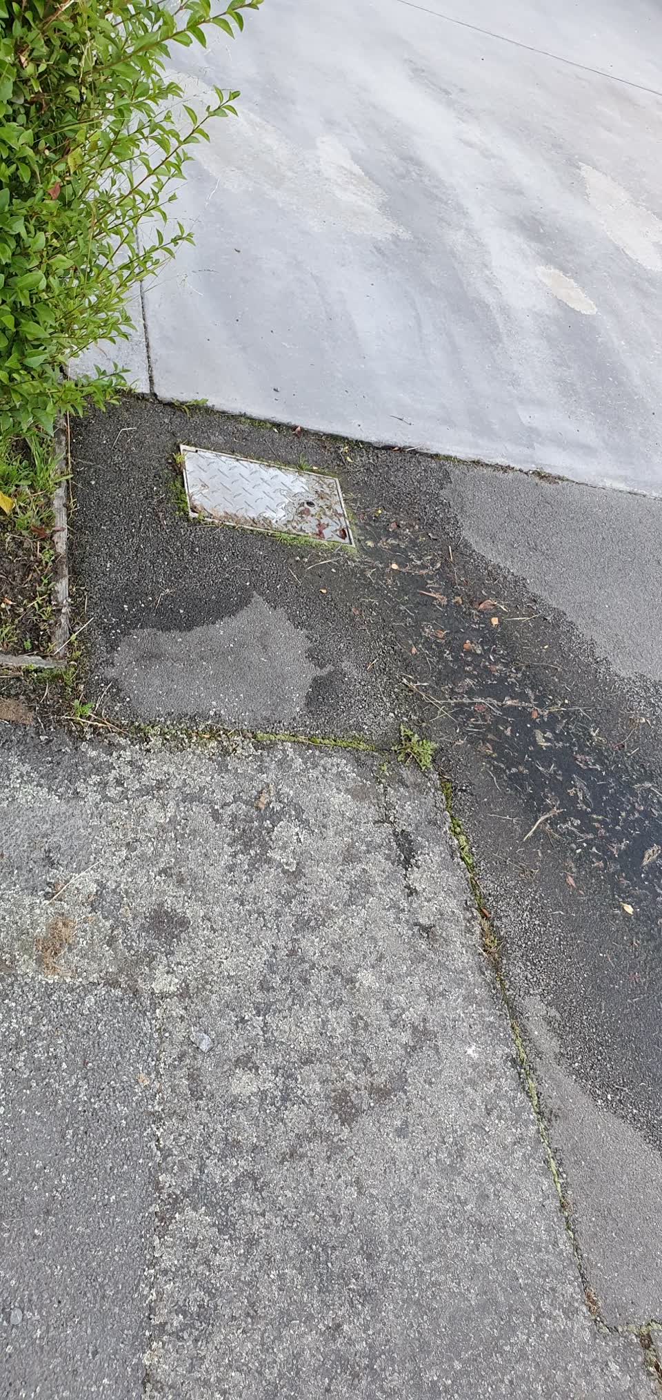 The photograph attached to this water leak report