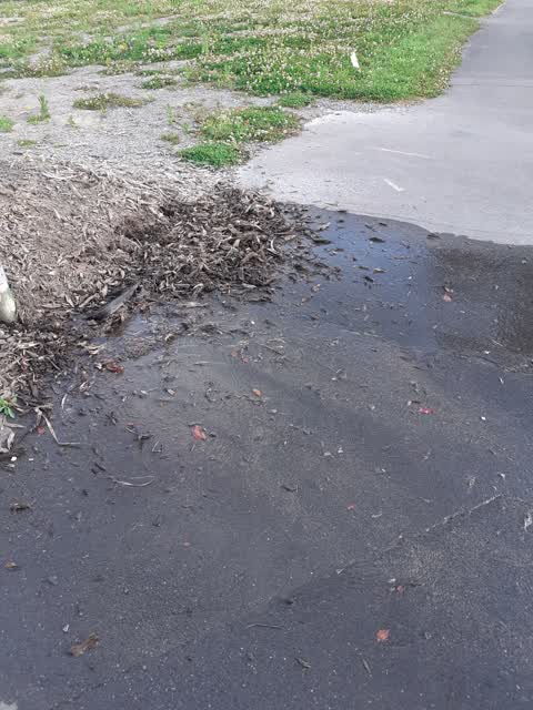 Water Leak, a report photo