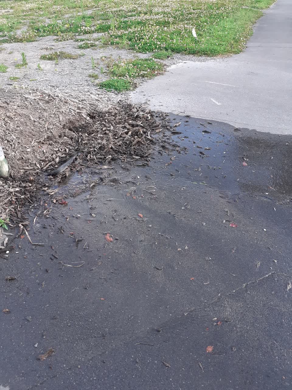 The photograph attached to this water leak report