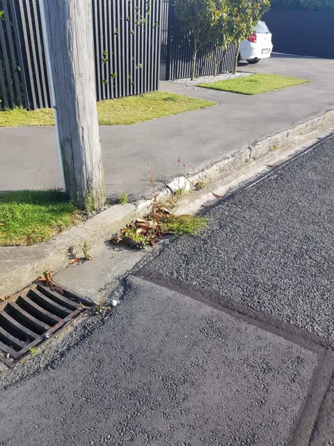 Roading/Streets, a report photo
