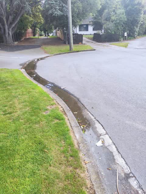 Water Leak, a report photo