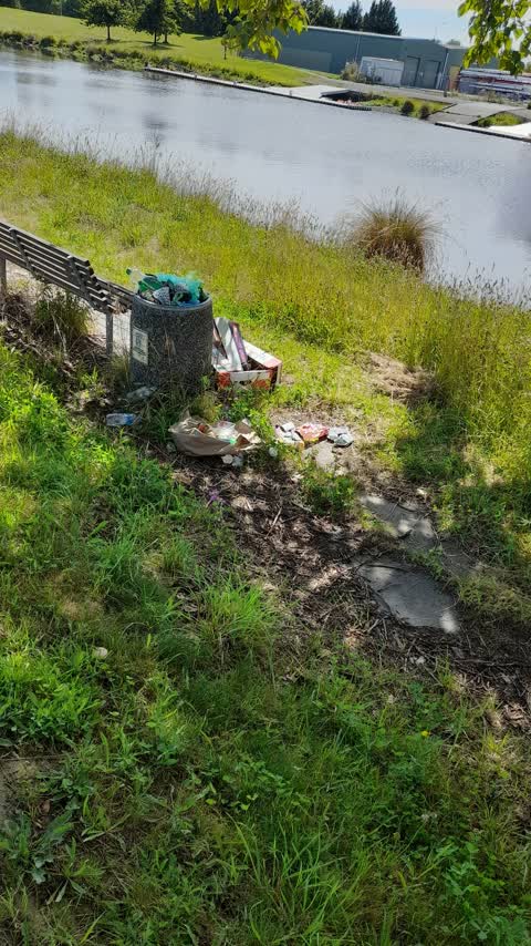 Rubbish/Recycling, a report photo